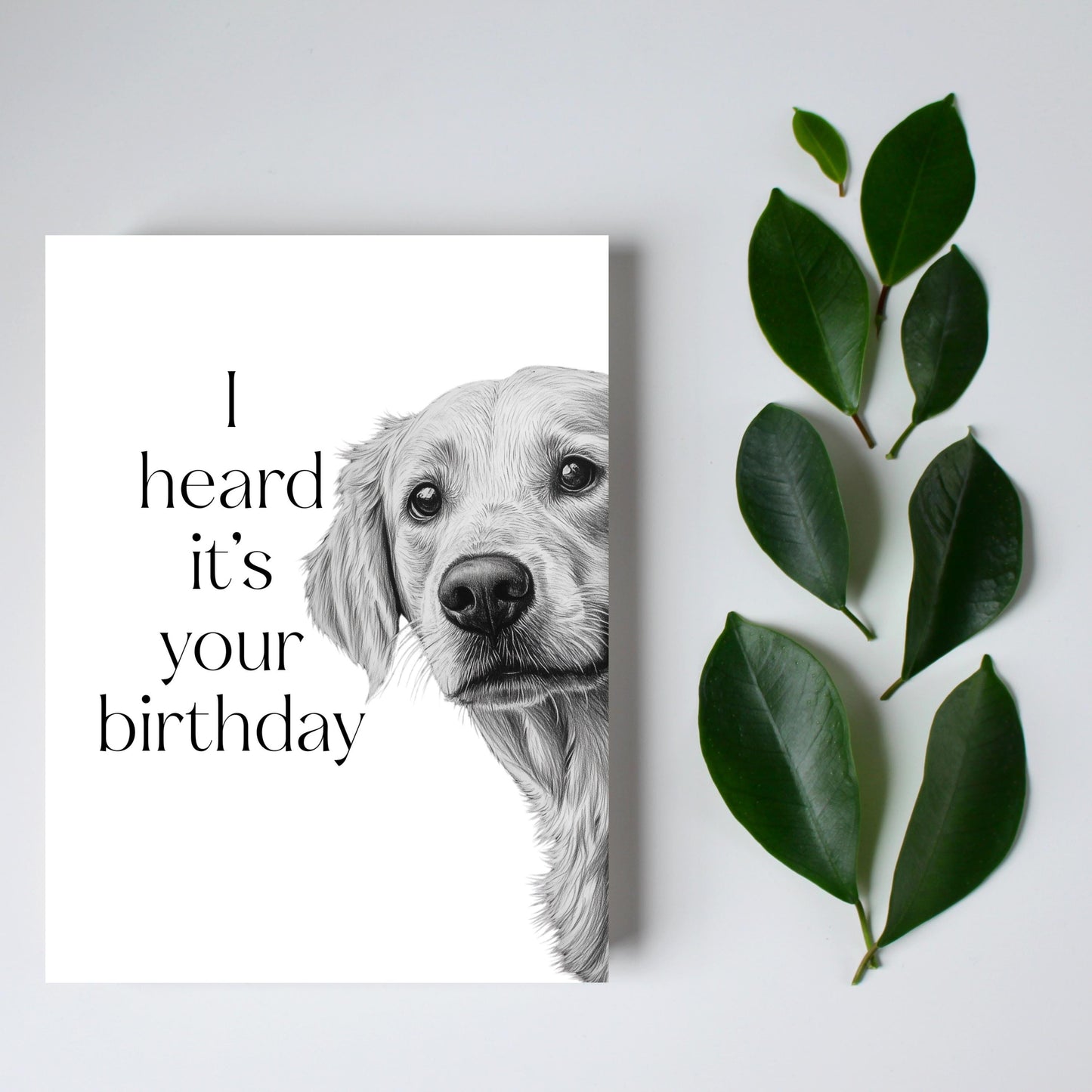 Golden Retriever Birthday Card