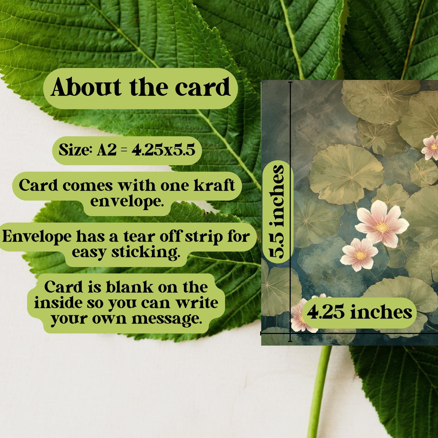 Moody Botanical Water Lily Greeting Card