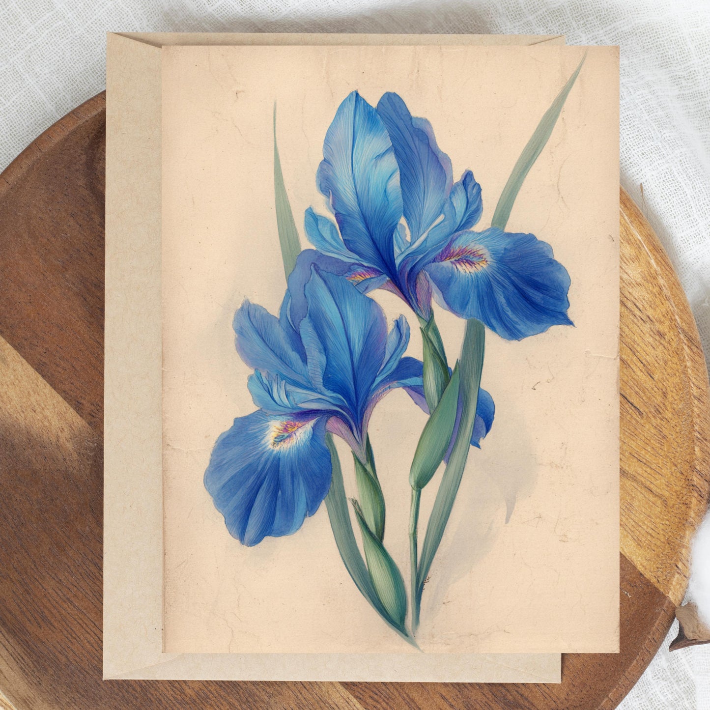 Blue Iris Watercolor Greeting Card