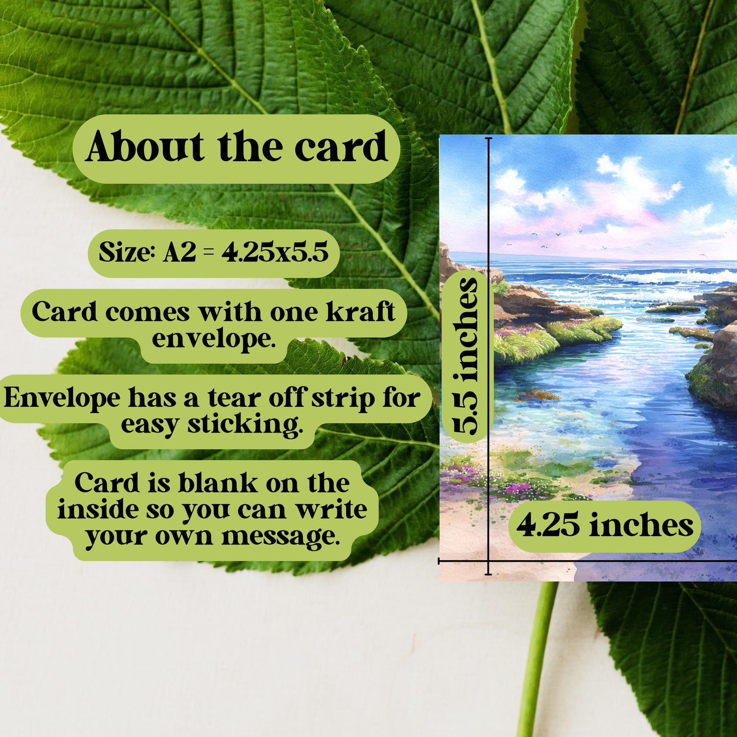 Calm Ocean Watercolor Card: Tidepool Beach Note Card