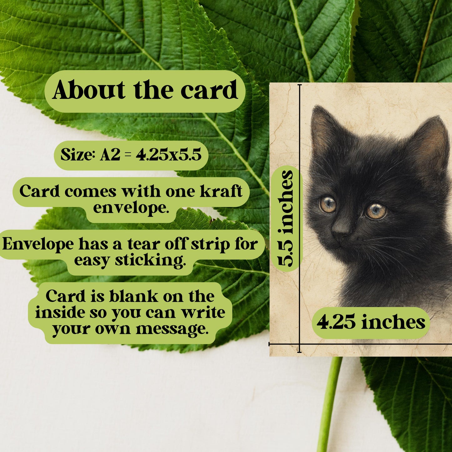 Black Kitten Greeting Card, Vintage Cat Drawing