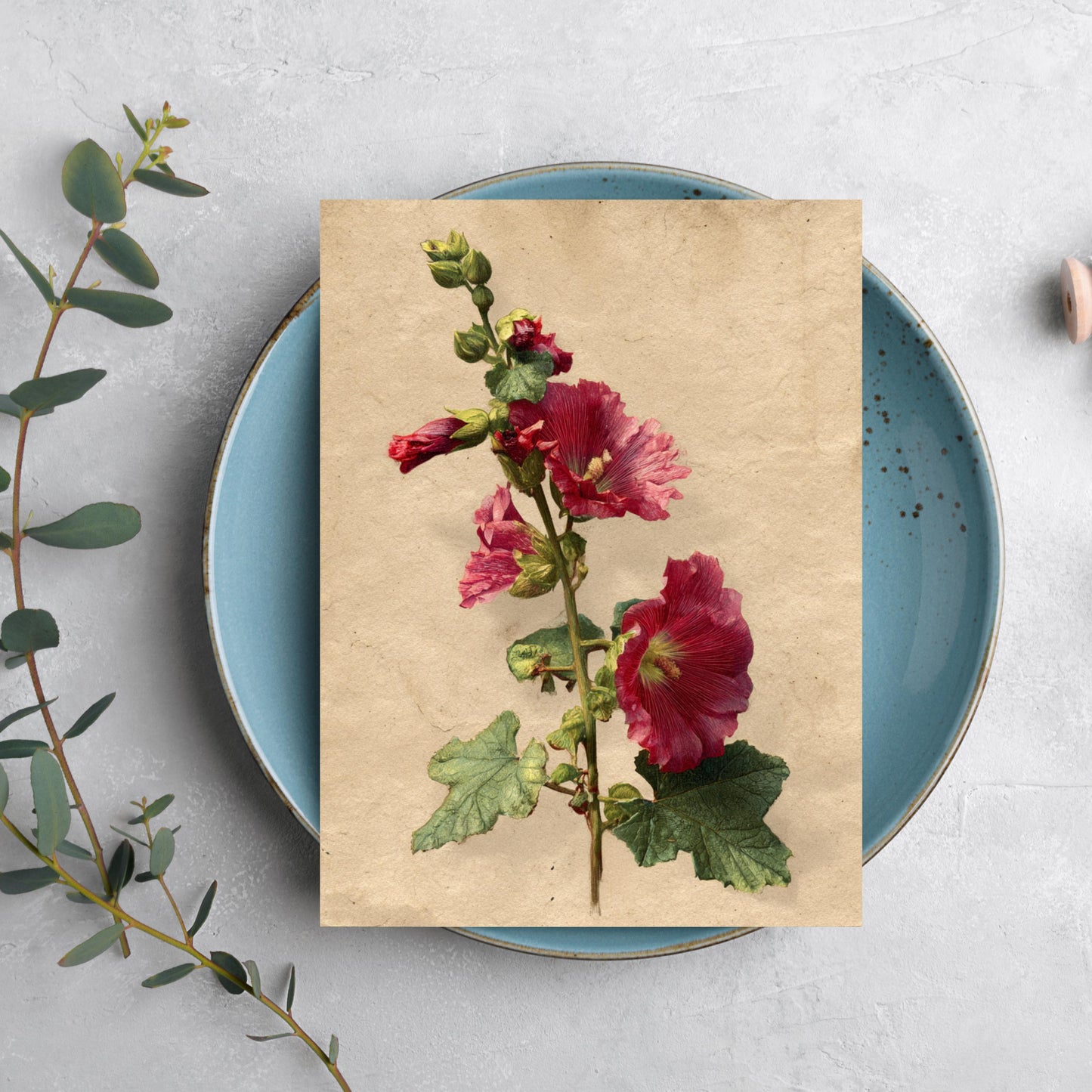 Vintage Botanical Hollyhock Greeting Card