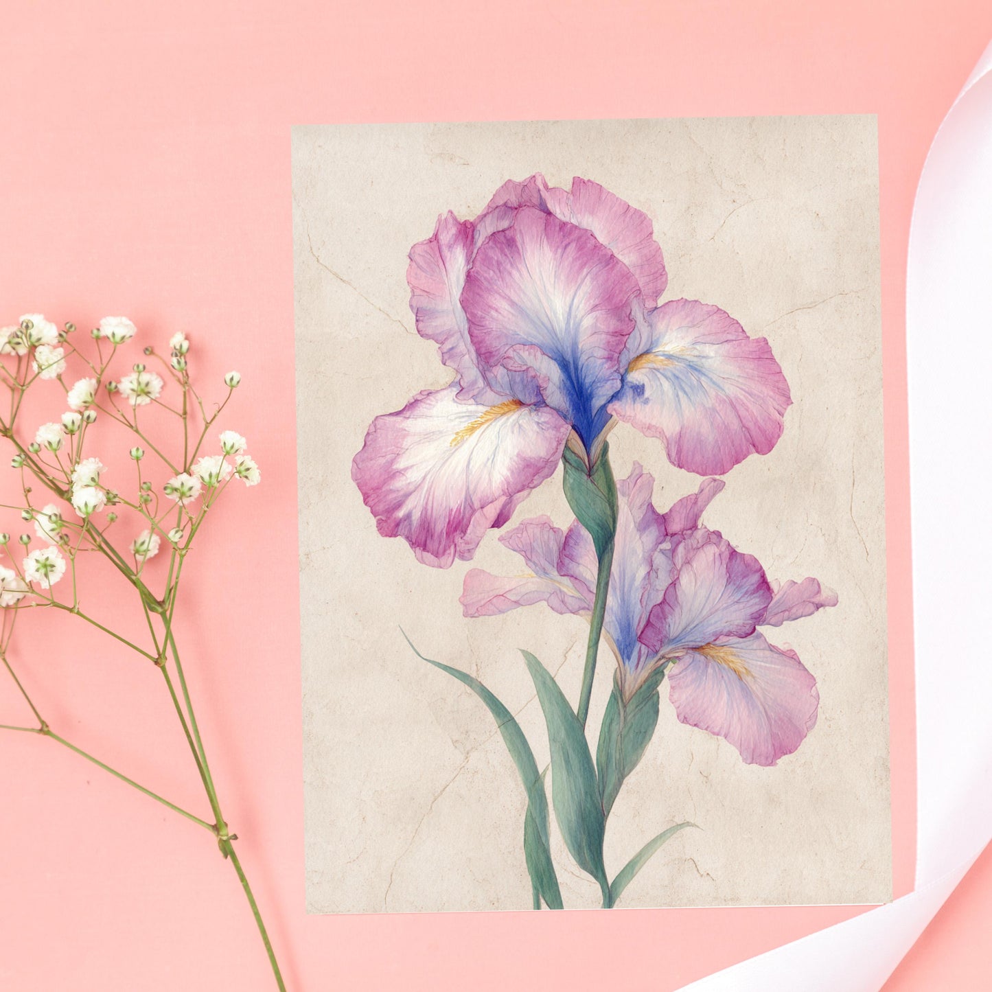 Watercolor Iris Greeting Card