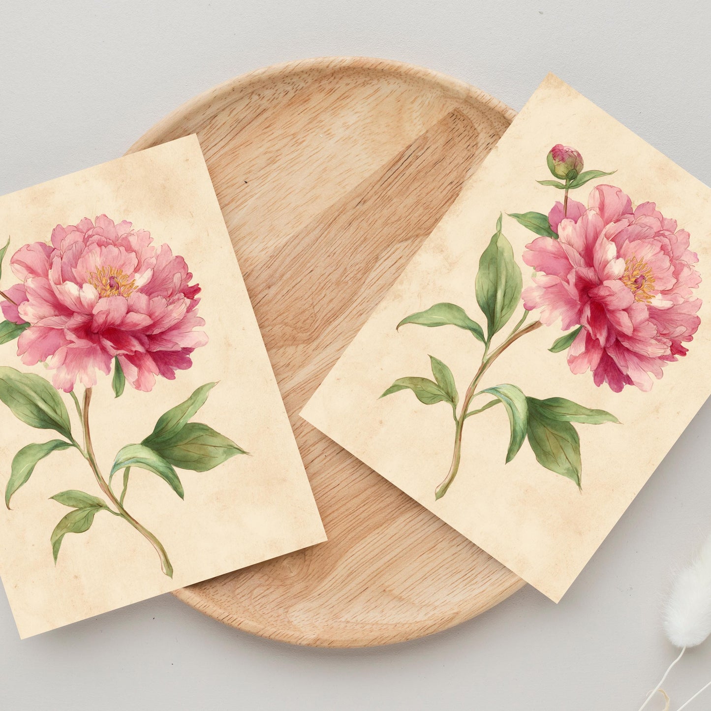 Peony Watercolor Greeting Card: Rustic Floral Note Card