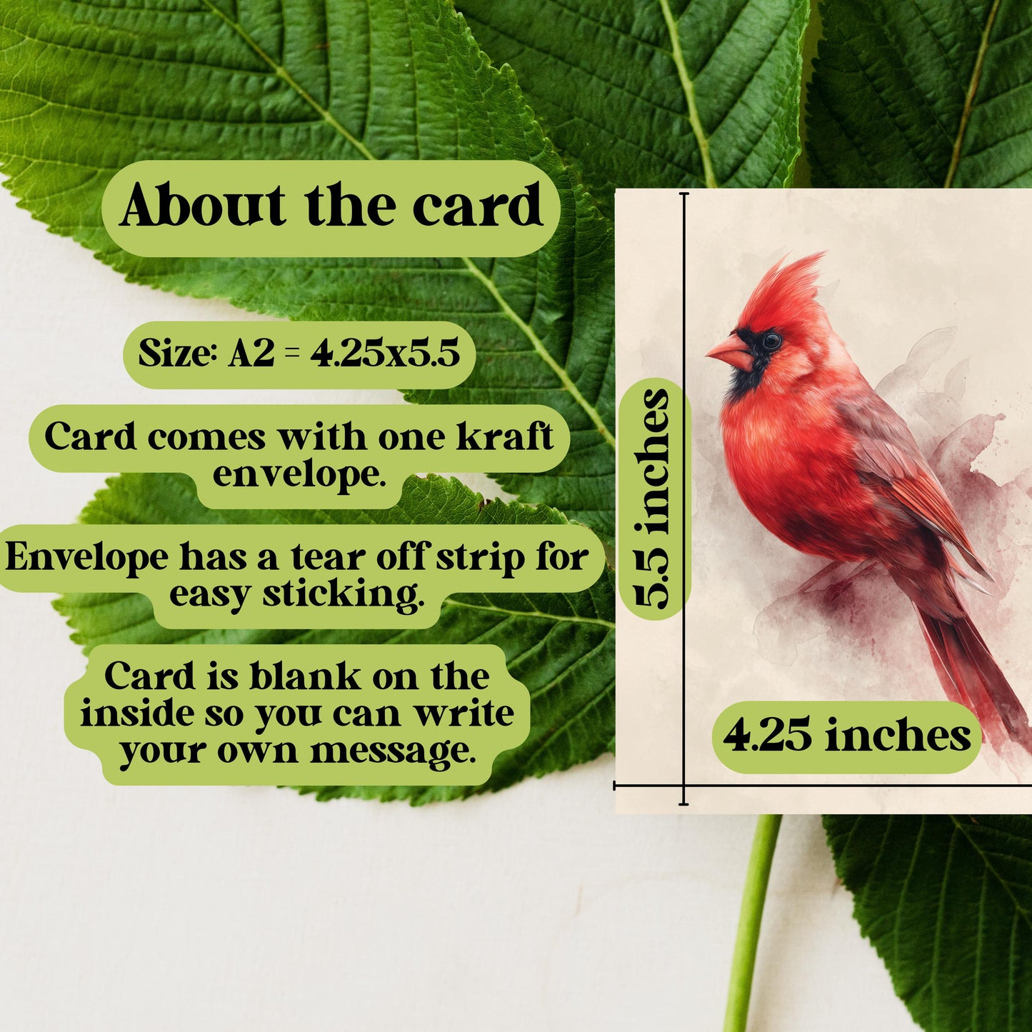 Watercolor Cardinal Greeting Card