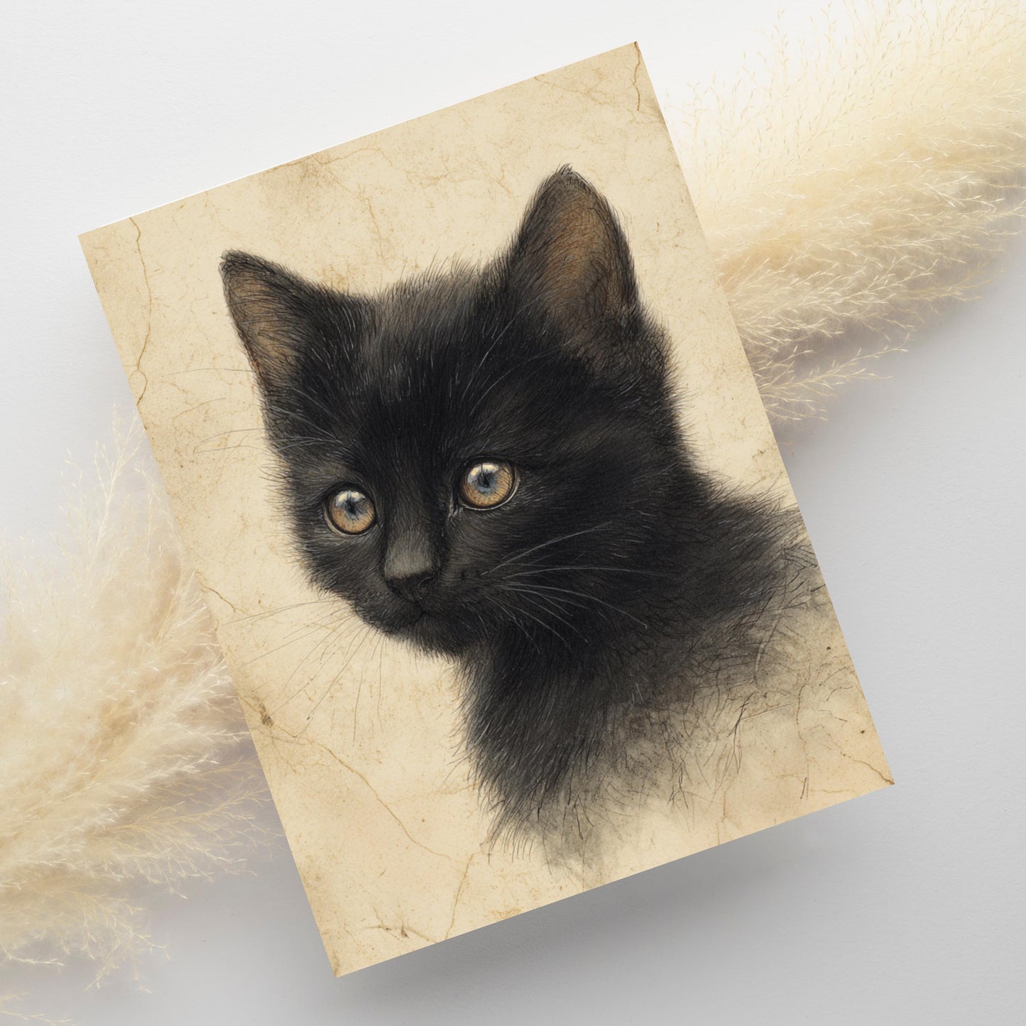 Black Kitten Greeting Card, Vintage Cat Drawing