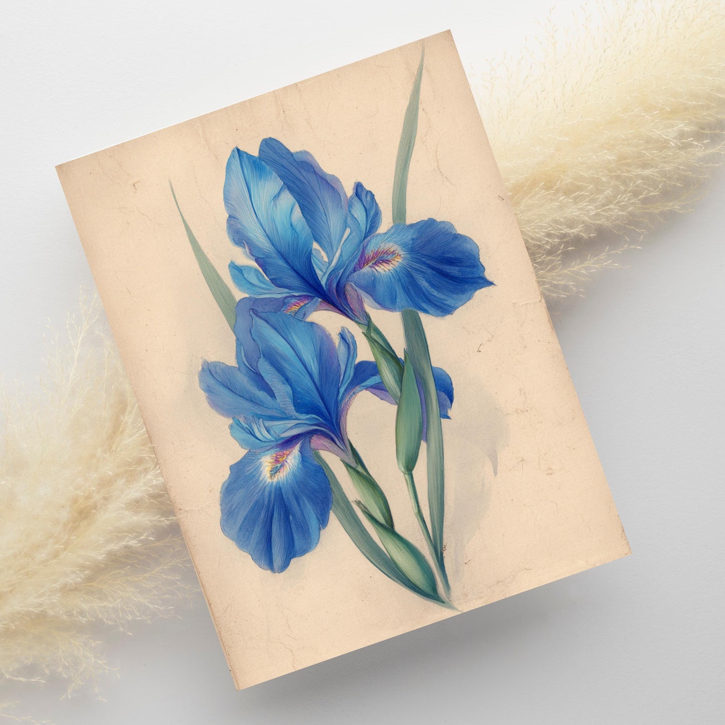 Blue Iris Watercolor Greeting Card