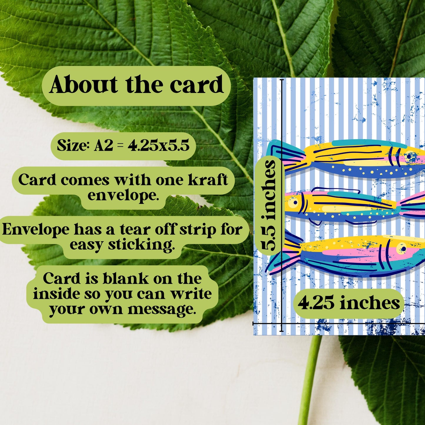 Colorful Fish Greeting Card