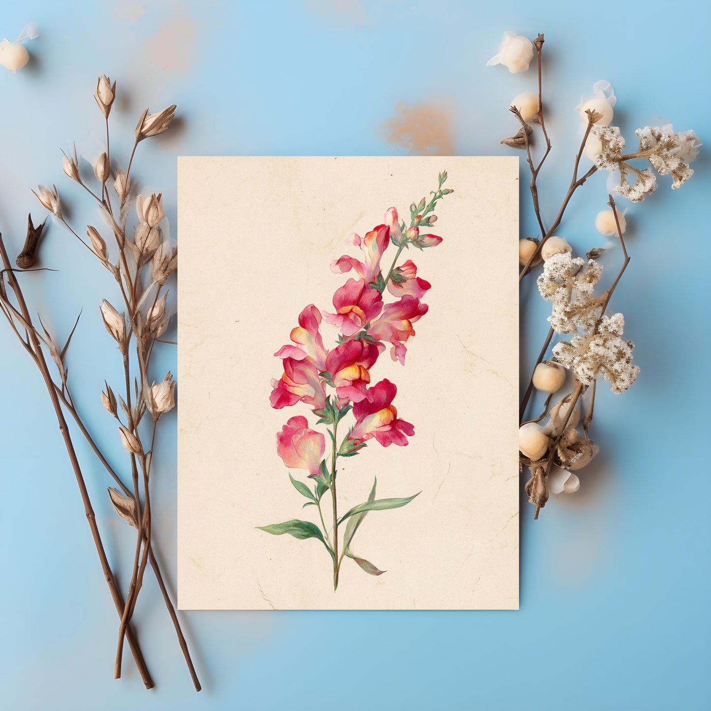 Snapdragon Flower Watercolor Greeting Card