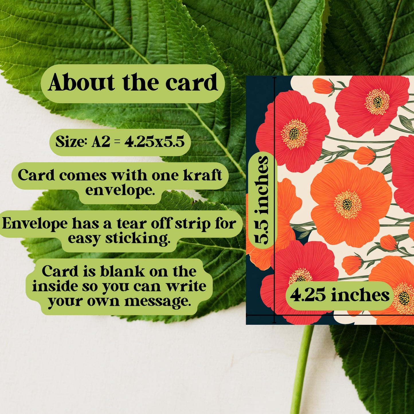 Red Poppy Greeting Card